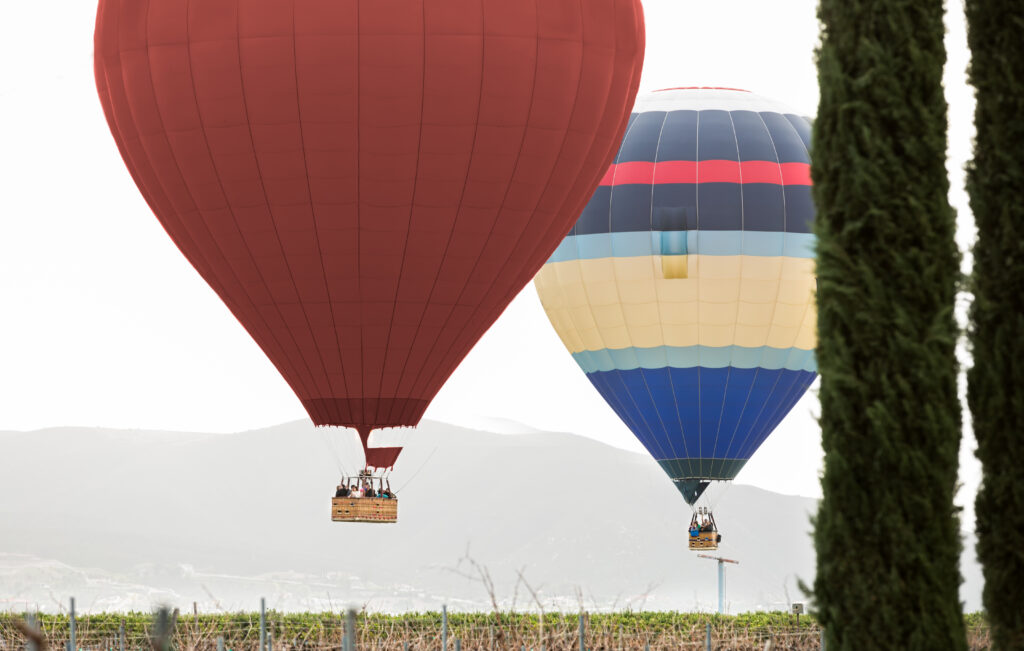 Red and blue hot air balloons in the sky above the vineyards